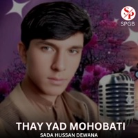 Thay Yad Mohobati (feat. Sada Hussan Dewana) - Single - SPGB