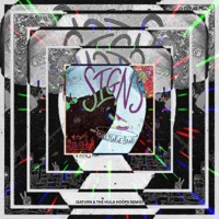 Signs (Saturn & The Hula Hoops Remix) - Single - Ashley LaRue Band