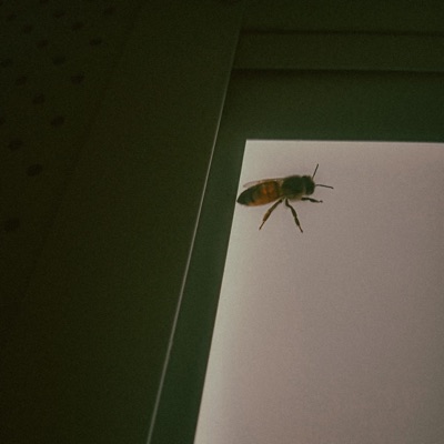 EXTERMINATUS - Single