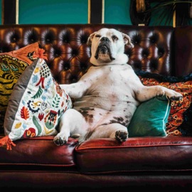 Couch Surfing (feat. TonyBumps) Grimhxllxw