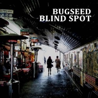 Blind Spot - Bugseed