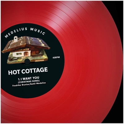 I want you (Christmas song) (feat. Fredrika Brunius & Kettil Medelius) - Single