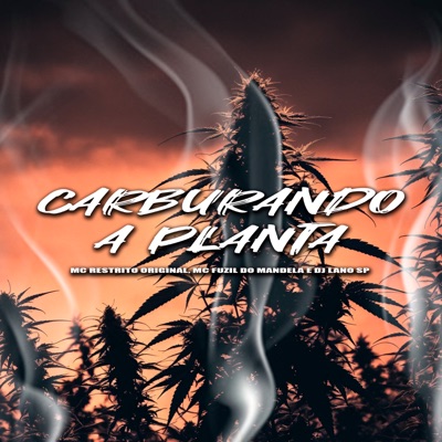 Carburando a Planta - Single