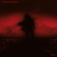 I WISH WE NEVER MET - Single - RØNIN