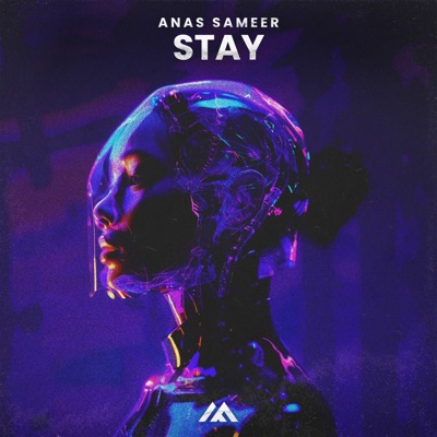 Stay - Single