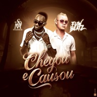 Chegou e Causou (feat. Flow Beatz) - Single - DJ STYLE OF MUSIC