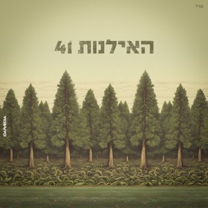 פזורת השיער