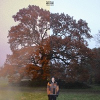 Feuilles mortes & Charleston - Jeune Dalee