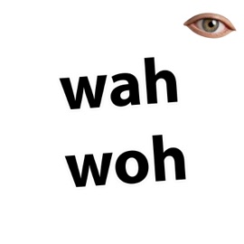 wah woh Losslessmike