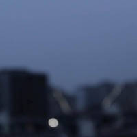 Midnight Blue - Single - Hevi & Bhxa