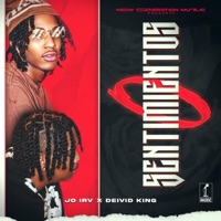 0 Sentimientos (feat. Deivid King) - Single - Jo Irv