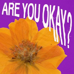 Are You Okay? - Single