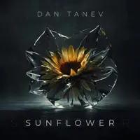 Sunflower — Dan Tanev