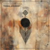 Tribal Journey (Extended Mix) - Zafrir & Silver Panda