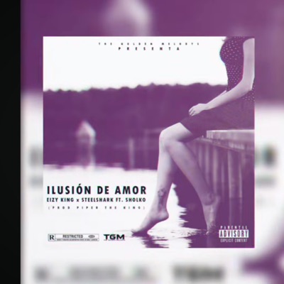 Ilusión de Amor Remix (feat. SteelShark & Sholko) - Single