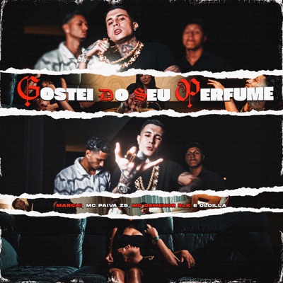 Gostei do Seu Perfume - Single