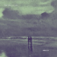 AMNESIA - Single - Tony Dee