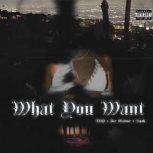 What You Want (feat. Joe Maynor & Azjah)