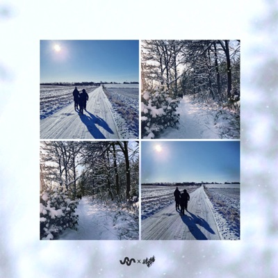 The Light We Carry - Single