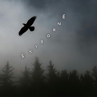 Skyborne (feat. K J Diliip & Shalini Mohan) - Single