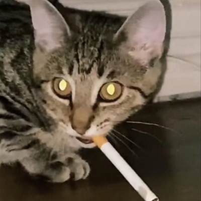 skel67 - im not tryna ruin your fun