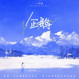 企鹅 小阿漾