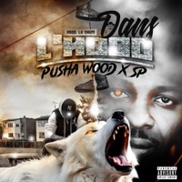 Dans L'Hood (feat. Sans Pression) - Single - Pusha Wood