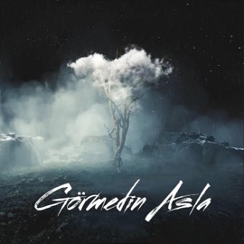 Görmedin Asla (feat. Regoist) DMG Deniz