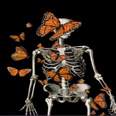 butterfly effect - Single