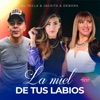 La Miel de tus Labios - Single