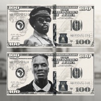 in case (feat. Boy Muller) - Single - VERBB