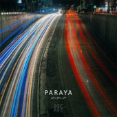 Paraya artwork