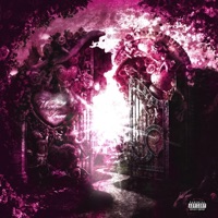 Wicked Lover* - Single - Pluto Kar