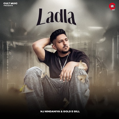Ladla - Single