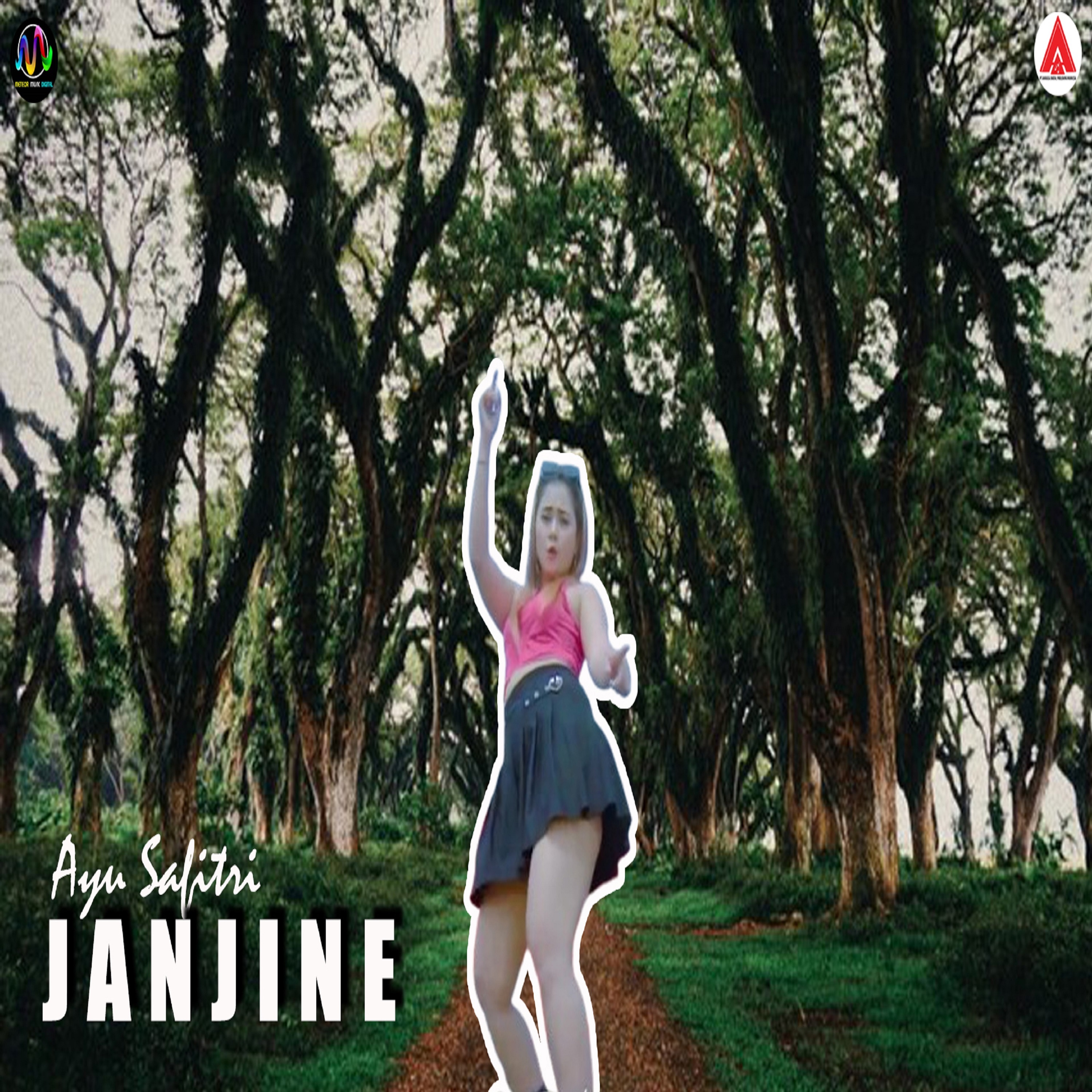 Janjine - Single