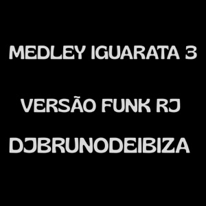 MEDLEY DE IGUARATÁ 3 VERSÃO FUNK RJ
