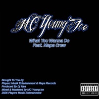 What You Wanna Do (feat. Shang Manson, CzarNicholas & Joe Fresco) - Single - MC YOUNG ICE