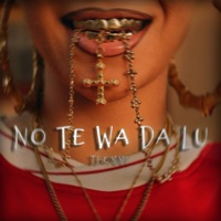 No Te Wa Da Lu - Single - Thommy