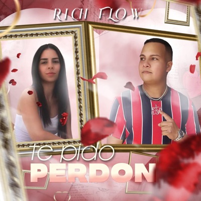 Te Pido Perdón - Single