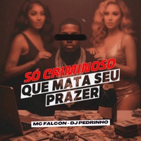 Só Criminoso Que Mata Seu Prazer - Single - Mc Falcon