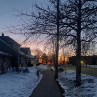 Tainting Our Fingers With the Smell of Cigarettes (While Watching the Sunset) - Single - MTFSG