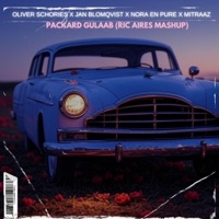 Packard Gulaab (Ric Aires Mashup) - Single - Ric Aires