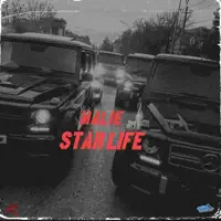 Star Life — Malie Donn