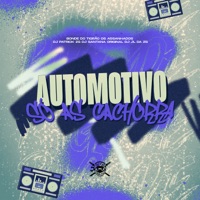 Automotivo Só as Cachorra (feat. Bonde do Tigrão & Os Assanhados) - Single - DJ PATRICK ZS