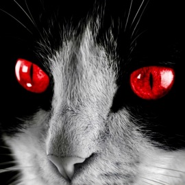 I Walk the Line (lucidmusic Remix) Jfarrari & lucidmusic