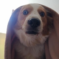 I'll Be Holding Your Hands - Single - Larina