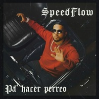 Pa' hacer perreo (feat. Speedflow & Diskfo Y Haze) - Single - Reggaetronico