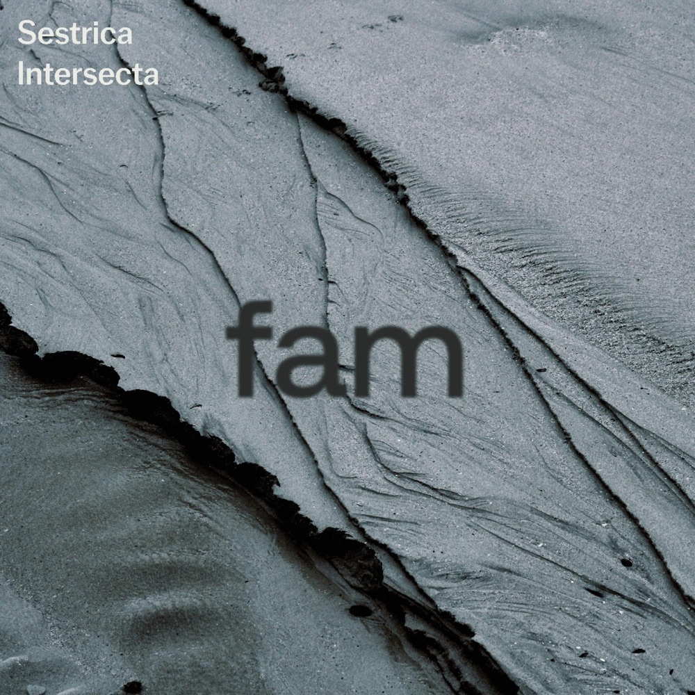 Обложка альбома «FAM (feat. Intersecta) - Single» — Sestrica