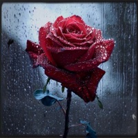 Toxic Fixation (feat. Aimee) - Single - Nine25