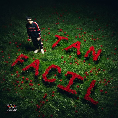 TAN FÁCIL - Single